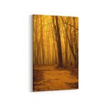 Olla 13885D Doğa Manzara Görseli Dikey 20x30 cm Kanvas Tablo