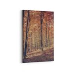 Olla 14136D Doğa Manzara Görseli Dikey 20x30 cm Kanvas Tablo