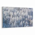 Olla 14255Y Doğa / Manzara Görseli Yatay Kanvas Tablo, Ölçü 40X30