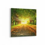 Olla 14570K Doğa/Manzara Görseli Kare Kanvas Tablo, Ölçü 40X40