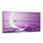 Olla 14657YD Gece Gökyüzü Görseli Yatay Dar 60x30 cm Kanvas Tablo