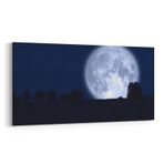 Olla 14669YD Gece Gökyüzü Görseli Yatay Dar 60x30 cm Kanvas Tablo