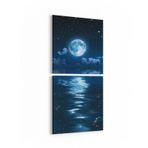 Olla 14682K2D Gece Gökyüzü Görseli Kare 2 Parça Dikey 30x65 cm Kanvas Tablo