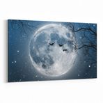 Olla 14716Y Gece Gökyüzü Görseli Yatay 30x20 cm Kanvas Tablo