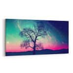 Olla 14736YD Gece Gökyüzü Görseli Yatay Dar 60x30 cm Kanvas Tablo