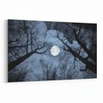 Olla 14769Y Gece Gökyüzü Görseli Yatay 30x20 cm Kanvas Tablo