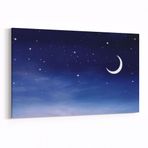 Olla 14792Y Gece Gökyüzü Görseli Yatay 30x20 cm Kanvas Tablo
