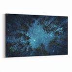 Olla 14798Y Gece Gökyüzü Görseli Yatay 30x20 cm Kanvas Tablo