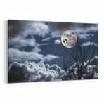 Olla 14828Y Gece Gökyüzü Görseli Yatay 30x20 cm Kanvas Tablo