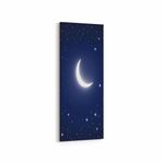 Olla 14829DI Gece Gökyüzü Görseli Dikey İnce 30x90 cm Kanvas Tablo