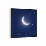 Olla 14829K Gece Gökyüzü Görseli Kare 25x25 cm Kanvas Tablo