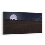 Olla 14865YD Gece Gökyüzü Görseli Yatay Dar 60x30 cm Kanvas Tablo