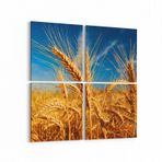 Olla 15270K4 Gıda Görseli Kare 4'lü Kanvas Tablo, Ölçü 105X105
