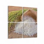 Olla 15278K4 Gıda Görseli Kare 4'lü Kanvas Tablo, Ölçü 145X145