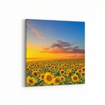 Olla 15972K Günbatımı Görseli Kare Kanvas Tablo, Ölçü 120X120