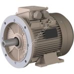 Omega Im B35 Elektrik Motoru Ie3 – 11 Kw / 50Hz – Alüminyum Gövde