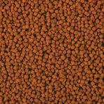 Omega One 1 mm 100 gr Açık Cichlid Select Pellets Balık Yemi