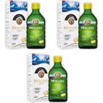 Omega3 -Limon Aromalı- Balık Yağı Şurup 250ML - 3'lü Set