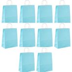 Omeyva Büküm Saplı Kraft Kağıt Karton Hediyelik Çanta Poşet Torba - Mavi - 25X31 Cm. - 10 Adetlik 1 Paket