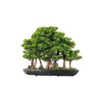 Omnia Concept Navis Bonsai Garden - Iç Ve Dış Mekan Kullanımına Uygun Premium Kalitede Yapay Bitki 70x50 Cm