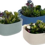 Omnipazar KRS-248 Pera Aranjman Kaktus Sukulent Saksı 1.8 Litre 3'lü Set