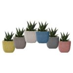 Omnipazar Krs-381 Dekoratif Plastik Mercan Kare Saksı 0.27 Lt 6 Renk Set