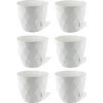 Omnipazar Krs-451 Yakamoz Tabaklı Plastik Saksı Takımı 0.65 Lt Beyaz 6 Adet