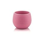 Omnipazar SO-ES01 Elvan Kaktüs Saksı 0,13 Litre No 1 Pudra Pembe (121)