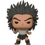 OMZ Funko Pop Animation: Hunter x Hunter - Uvogin Kız Erkek Çocuk Oyuncak Eğitici Oyuncaklar - Çok Renkli