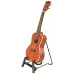 On-Stage GS5000 Keman ve Ukulele Standı