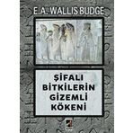 Onbir Yayınları - Şifalı Bitkilerin Gizemli Kökeni