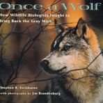 Once A Wolf : How Wildlife Biologists Fought to Bring Back the Gray Wolf (Scientists in the Field Series)