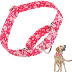 ONEFOJOJO Sıcak pembe Martingale Köpek Tasması Hızlı Serbest Bırakma Köpek Eğitim Tasması Küçük Orta Büyük Köpekler için (Canlı pembe S)
