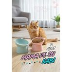 ongu home 2'li Eğimli Mama Ve Su Kabı Boyun Koruyucu Kedi Mama Kabı Eğimli Mama ve Su Kabı