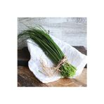 Onion chives Frenk soğanı tohumu soğan otu ince yapraklı