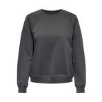 ONLY, Kadın, ONLDAZE L/S O-NECK CC SWT NOOS, Sweatshirt, Magnet, XS