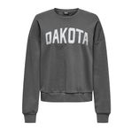 ONLY Kadın Onljolana L/S Glitter O-Neck SWT Sweatshirt, Mıknatıs/Baskı: dakota, XL