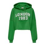 ONLY Kadın ONLTODDY L/S SHORT HOOD SWT Sweatshirt, Yeşil, XS