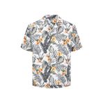 ONLY Kadın V Yaka Basic T-Shirt, Krem, XS Beden