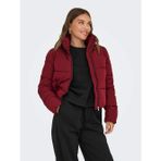 Only Onldolly Short Puffer Kadın Mont 15205371