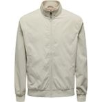 Only & Sons 22027613 Harrıngtotw Vd Erkek Mont Silver Lining