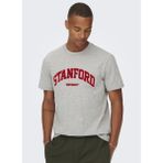 Only & Sons Bisiklet Yaka Baskılı Açık Gri Erkek T-Shirt 22023064_ONSJAKE Reg Stanford Ss 30 - XL