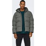Only & Sons Elijah Erkek Yeşil Mont (22029661-CASG)