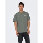 Only & Sons Erkek Yuvarlak Yaka Regular Fit Gri T-Shirt - 22033190