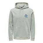 Only & Sons Onscarl Reg Mountain Sweat Hoodie Gri Erkek Sweatshirt