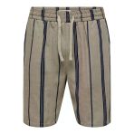 Only & Sons Onstınus Stepan Shorts 006 Erkek Gray Şort