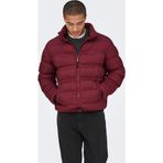 Only & Sons Union Seamless Life Erkek Bordo Mont (22034834-CAB)