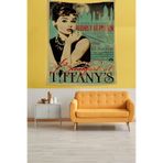 Ontheclouds Audrey Hepburn Leke Tutmaz Kumaş Duvar Örtüsü Duvar Halısı Tapestry, 140 x 230