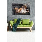 Ontheclouds Keyifçi Evcil Köpek Leke Tutmaz Kadife Dokulu Kumaş Duvar Örtüsü Duvar Halısı Tapestry, 35 x 50