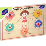 Onyıl Oyuncak 166/167 Ahşap Tutmalı Organlar